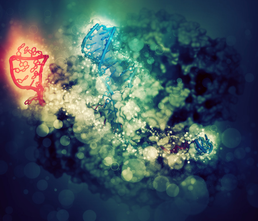 CRISPR-CAS9 gene editing complex from S pyogenes. 3D Illustration.