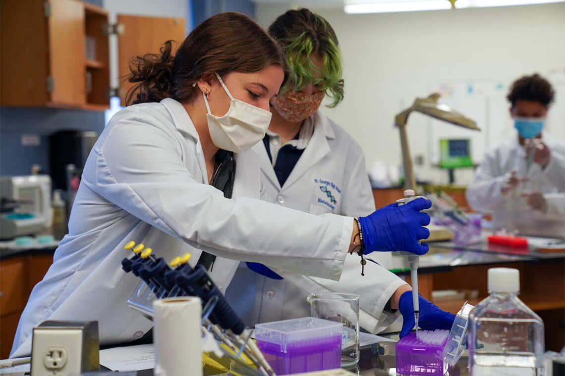 Crispr in a box